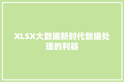 XLSX大数据新时代数据处理的利器