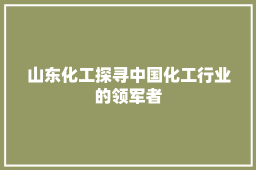 山东化工探寻中国化工行业的领军者