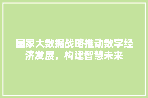 国家大数据战略推动数字经济发展，构建智慧未来