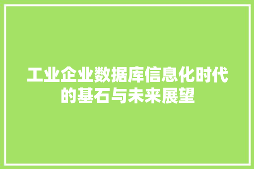 工业企业数据库信息化时代的基石与未来展望
