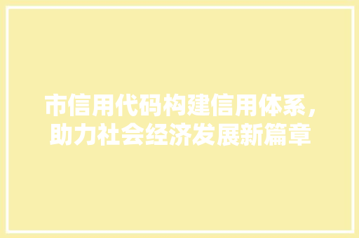 市信用代码构建信用体系，助力社会经济发展新篇章