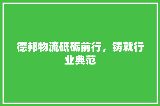 德邦物流砥砺前行，铸就行业典范