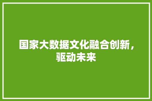 国家大数据文化融合创新，驱动未来  第1张