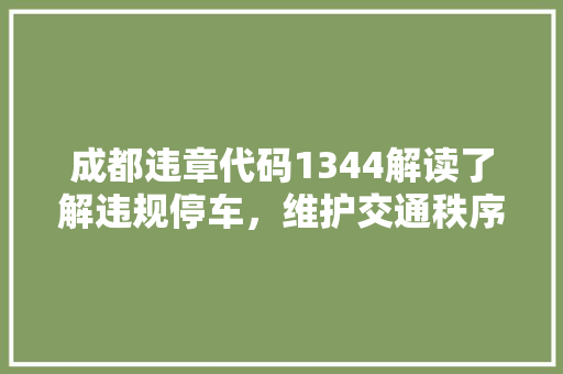 成都违章代码1344解读了解违规停车，维护交通秩序