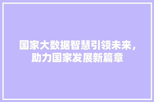 国家大数据智慧引领未来，助力国家发展新篇章  第1张