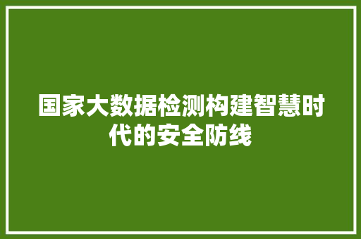 国家大数据检测构建智慧时代的安全防线  第1张