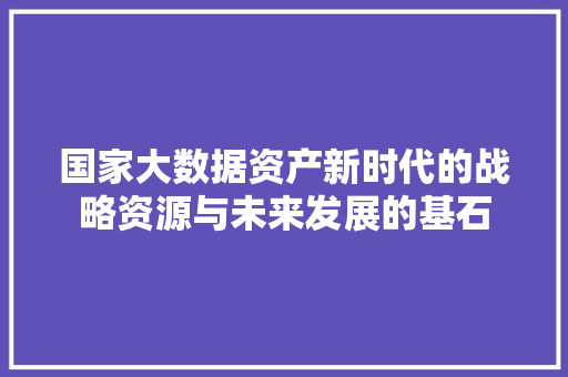 国家大数据资产新时代的战略资源与未来发展的基石  第1张