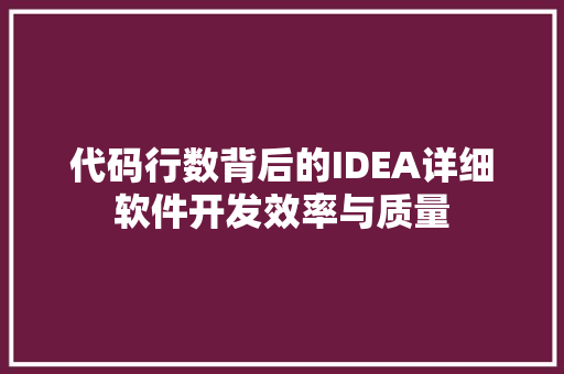 代码行数背后的IDEA详细软件开发效率与质量