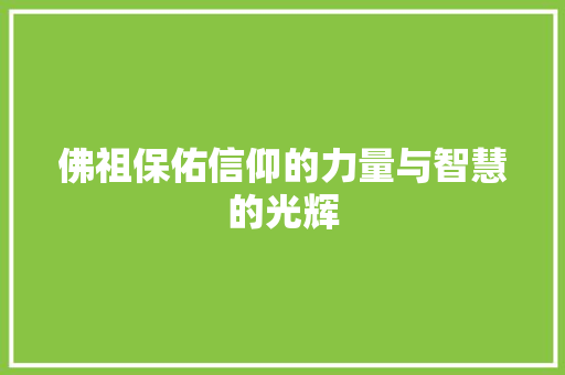 佛祖保佑信仰的力量与智慧的光辉