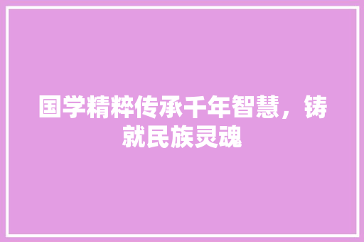 国学精粹传承千年智慧，铸就民族灵魂