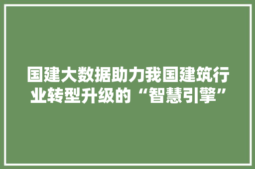 国建大数据助力我国建筑行业转型升级的“智慧引擎”  第1张