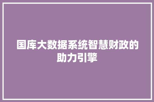 国库大数据系统智慧财政的助力引擎  第1张