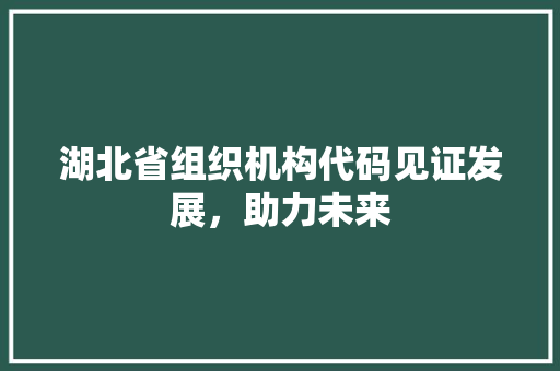 湖北省组织机构代码见证发展，助力未来