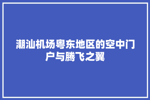 潮汕机场粤东地区的空中门户与腾飞之翼
