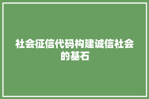 社会征信代码构建诚信社会的基石