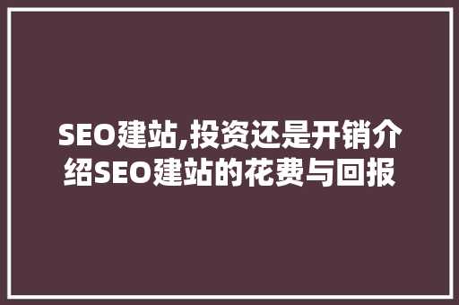 SEO建站,投资还是开销介绍SEO建站的花费与回报
