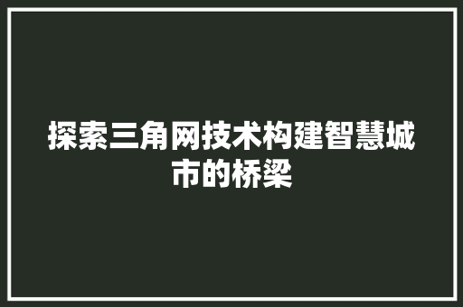 探索三角网技术构建智慧城市的桥梁  第1张