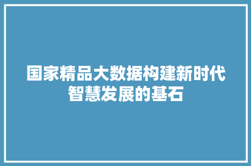 国家精品大数据构建新时代智慧发展的基石  第1张