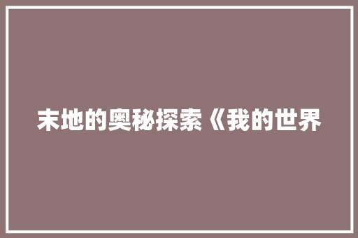 末地的奥秘探索《我的世界
