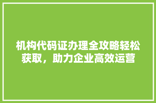 机构代码证办理全攻略轻松获取，助力企业高效运营