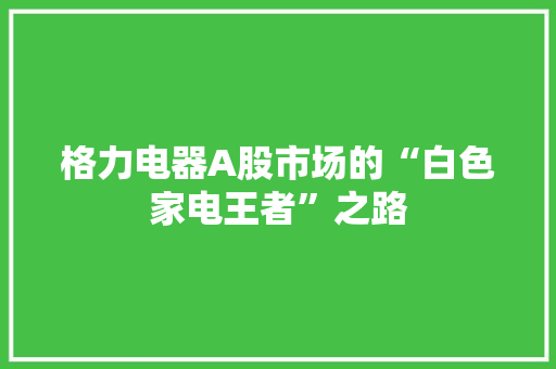 格力电器A股市场的“白色家电王者”之路