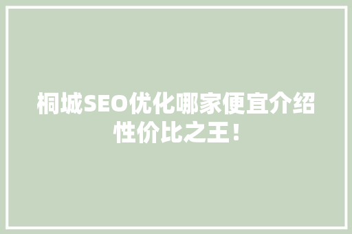 桐城SEO优化哪家便宜介绍性价比之王！
