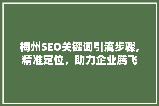梅州SEO关键词引流步骤,精准定位，助力企业腾飞