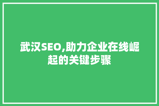 武汉SEO,助力企业在线崛起的关键步骤