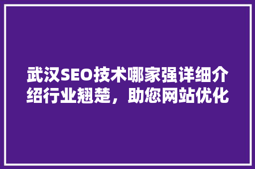 武汉SEO技术哪家强详细介绍行业翘楚，助您网站优化一臂之力