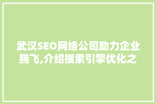 武汉SEO网络公司助力企业腾飞,介绍搜索引擎优化之路