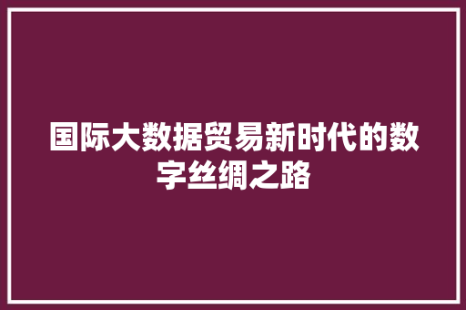 国际大数据贸易新时代的数字丝绸之路  第1张
