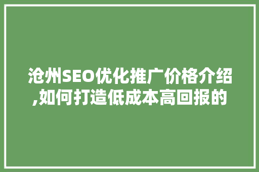 沧州SEO优化推广价格介绍,如何打造低成本高回报的在线营销步骤