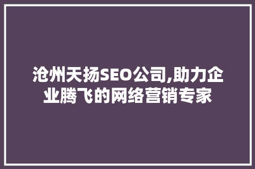 沧州天扬SEO公司,助力企业腾飞的网络营销专家