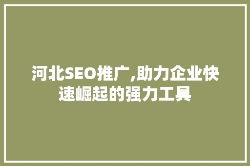 河北SEO推广,助力企业快速崛起的强力工具