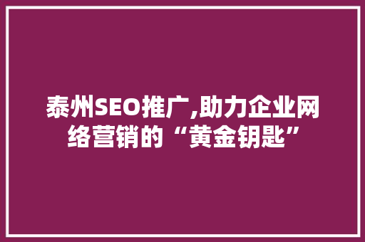 泰州SEO推广,助力企业网络营销的“黄金钥匙”