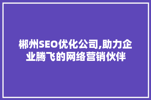 郴州SEO优化公司,助力企业腾飞的网络营销伙伴
