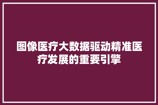 图像医疗大数据驱动精准医疗发展的重要引擎  第1张