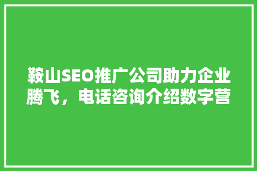 鞍山SEO推广公司助力企业腾飞，电话咨询介绍数字营销新篇章