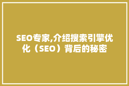 SEO专家,介绍搜索引擎优化（SEO）背后的秘密