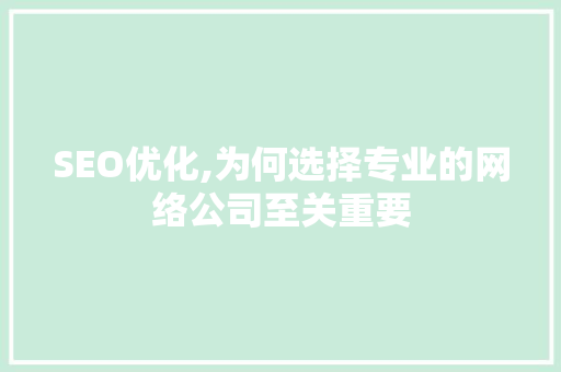 SEO优化,为何选择专业的网络公司至关重要