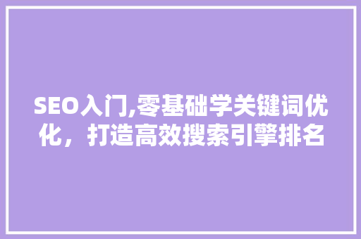 SEO入门,零基础学关键词优化，打造高效搜索引擎排名