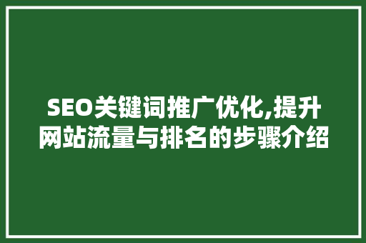 SEO关键词推广优化,提升网站流量与排名的步骤介绍