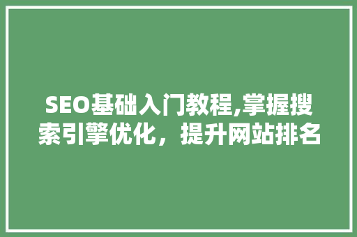 SEO基础入门教程,掌握搜索引擎优化，提升网站排名