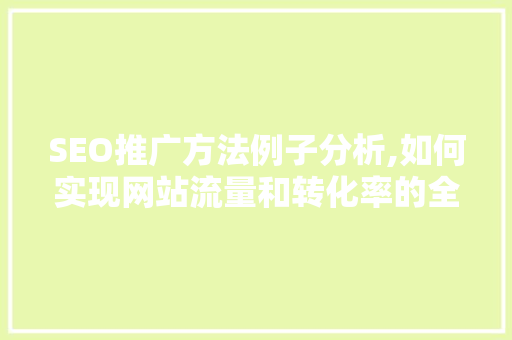 SEO推广方法例子分析,如何实现网站流量和转化率的全面提升