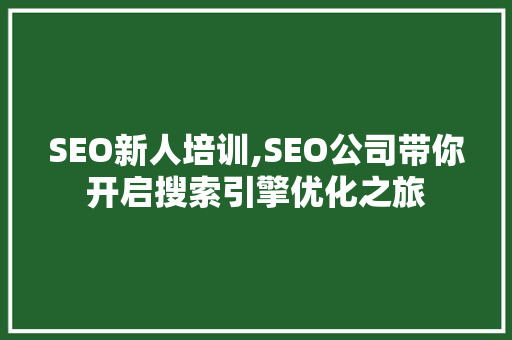 SEO新人培训,SEO公司带你开启搜索引擎优化之旅