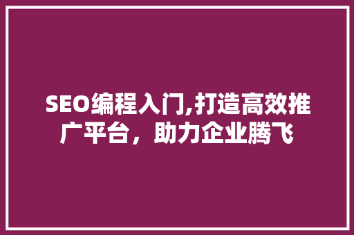 SEO编程入门,打造高效推广平台，助力企业腾飞