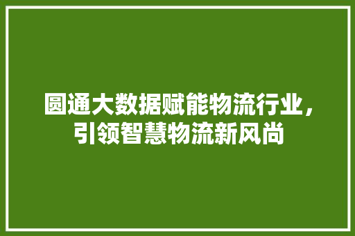 圆通大数据赋能物流行业，引领智慧物流新风尚