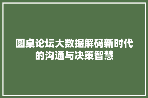 圆桌论坛大数据解码新时代的沟通与决策智慧