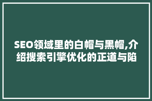 SEO领域里的白帽与黑帽,介绍搜索引擎优化的正道与陷阱