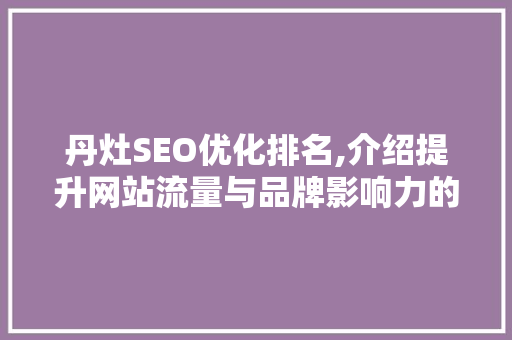 丹灶SEO优化排名,介绍提升网站流量与品牌影响力的方法